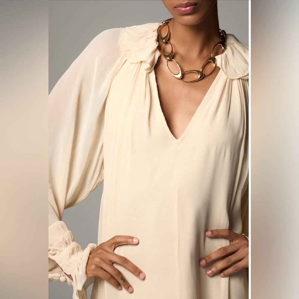 NWT ANTHROPOLOGIE Long Sleeve Sheer Pleated Maxi Dress Neutral XS-M - Picture 3 of 16